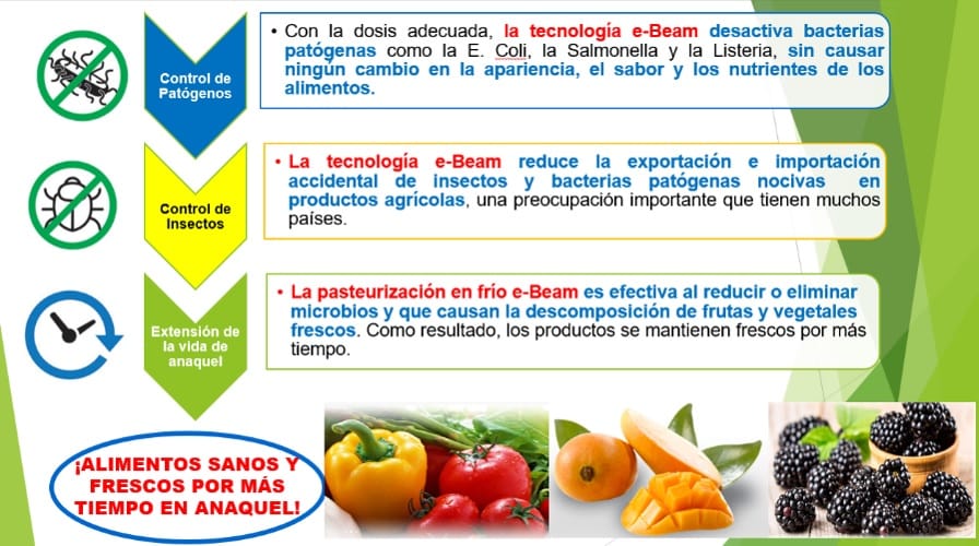 México, líder mundial en irradiación de fruta a EE. UU.