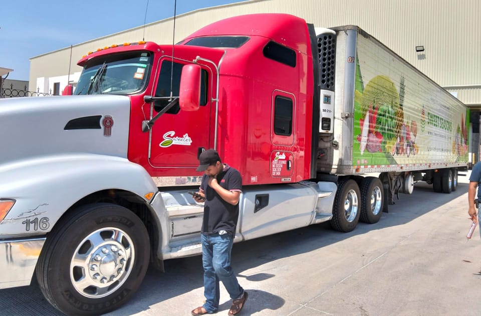 México, líder mundial en irradiación de fruta a EE. UU.