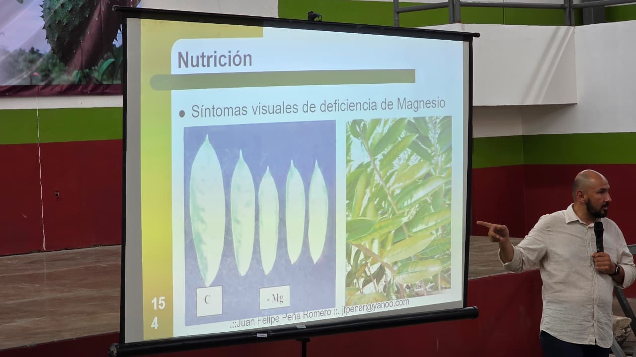 Impulsa EMAC en Michoacán la producción de la guanábana